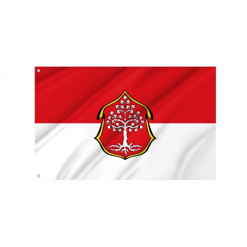 Langenfeld Flagge
