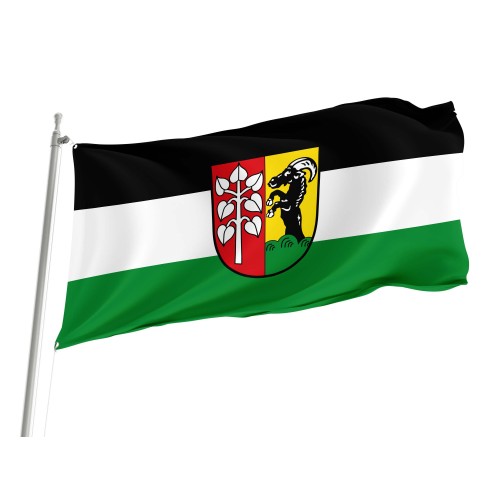 Schwifting Flagge