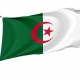 Algerien Flagge - Deutschland schnelle lieferung & qualitativ hochwertig Algerien Flagge - Deutschland schnelle lieferung & qualitativ hochwertig | kaufeflaggen